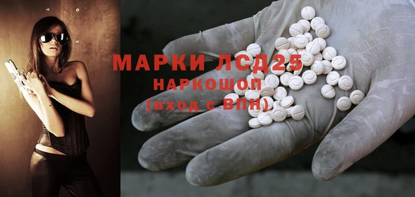 гашик Новозыбков