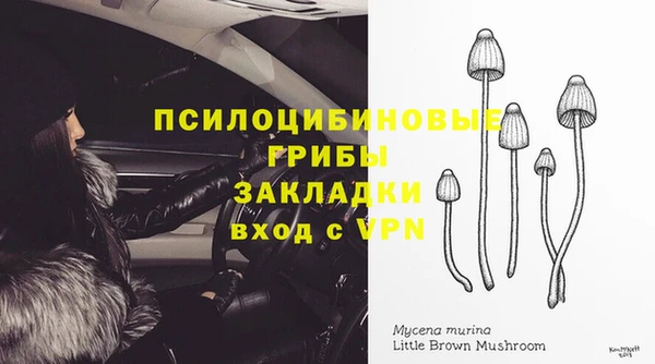 скорость Новокубанск