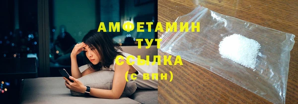 гашик Новозыбков