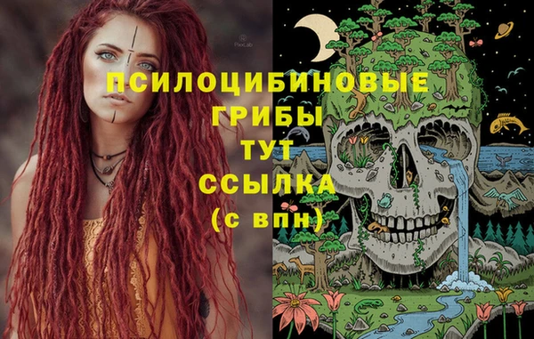 эйфоретик Нягань