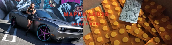 гашик Новозыбков