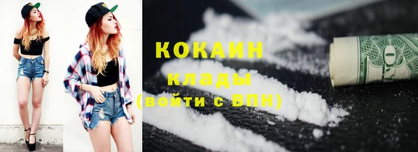гашик Новозыбков