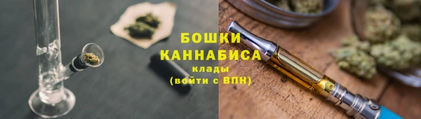 гашик Новозыбков