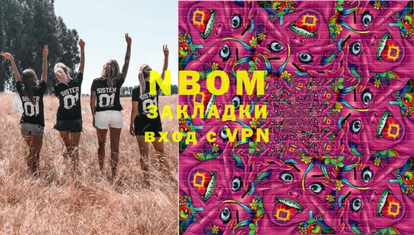 гашик Новозыбков