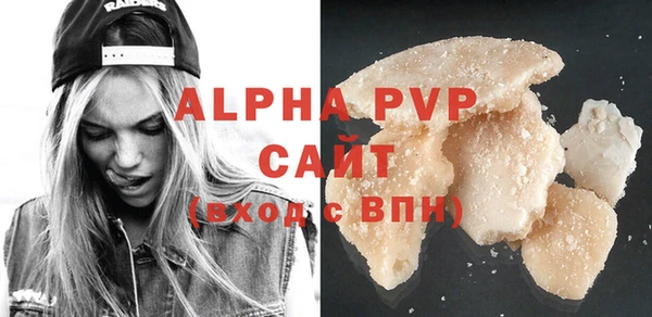 гашик Новозыбков