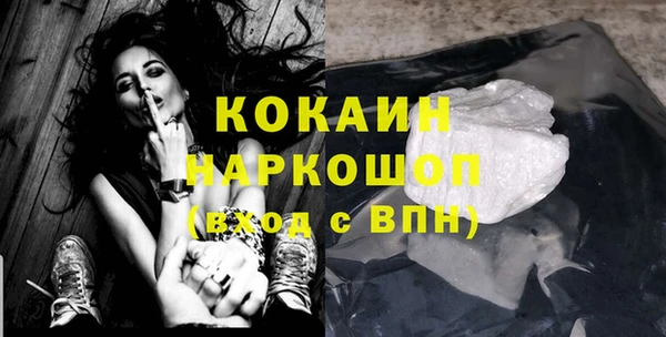 гашик Новозыбков
