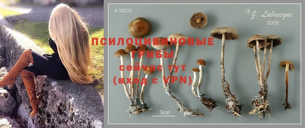 кокаин премиум Новодвинск