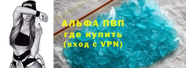 гашик Новозыбков