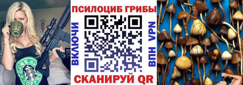 дарнет шоп  Сальск  Галлюциногенные грибы MAGIC MUSHROOMS 