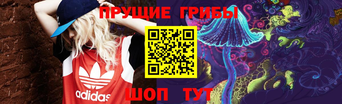 Псилоцибиновые грибы Magic Shrooms  Псилоцибиновые грибы мицелий  Вход с VPN  даркнет сайт  Сальск 