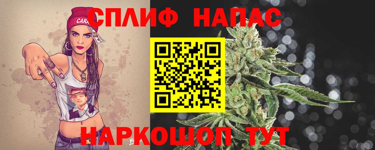 Канабис гибрид Сальск
